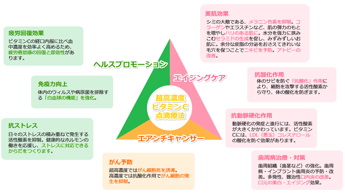 ビタミンCの作用